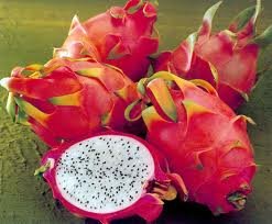 Dragon fruit
