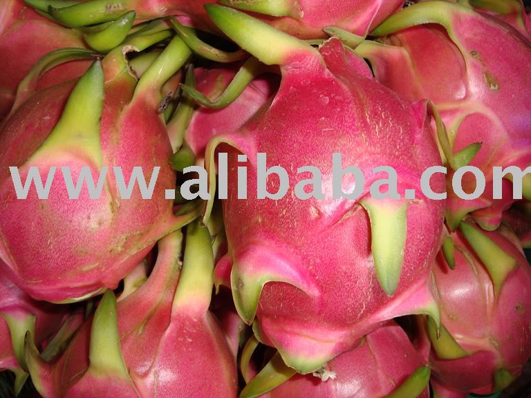 Dragon Fruit