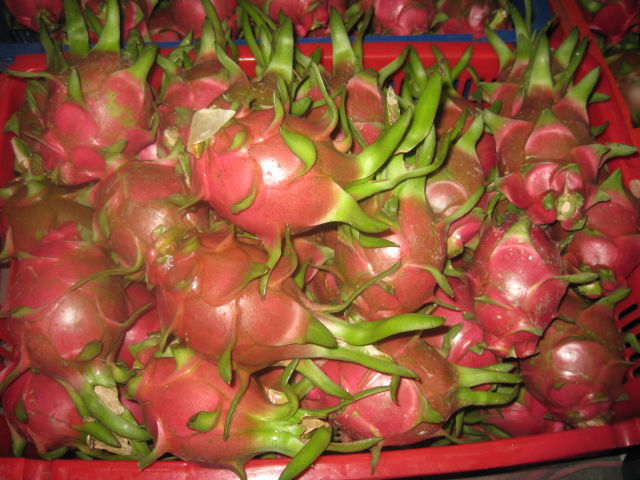 Red Flesh Dragon Fruit,Vietnam price supplier - 21food