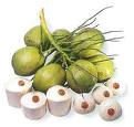 fresh coconuts