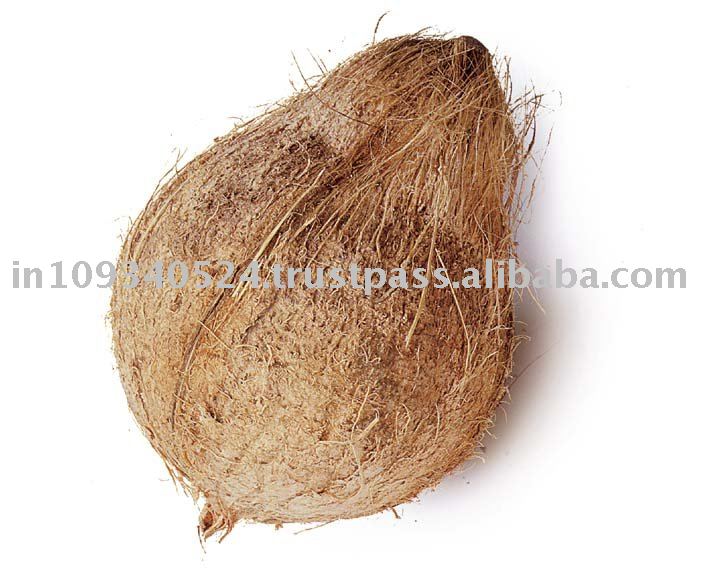 High quality fresh coconuts