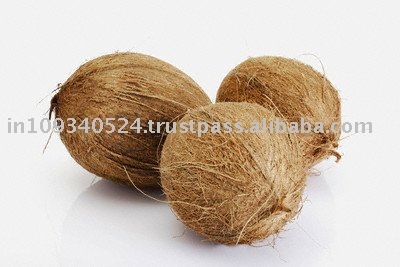 YOUNG COCONUT