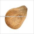 coconuts