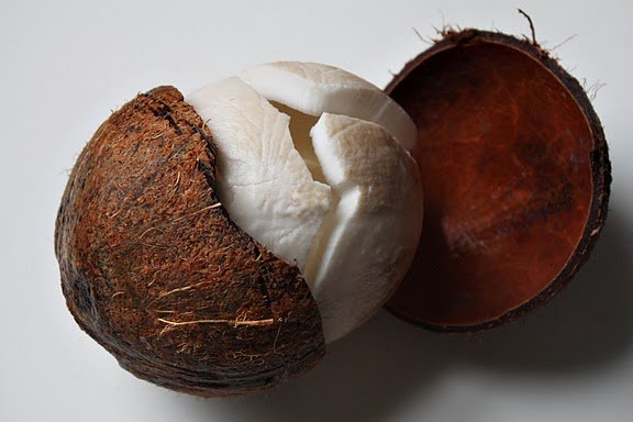Fresh Mature Coconut