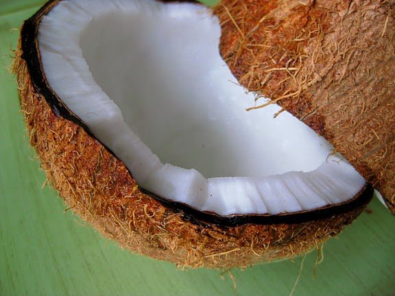 husked old coconuts