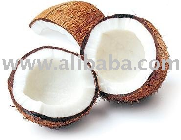 I Can Export Desiccated Coconut fine grade from Vietnam