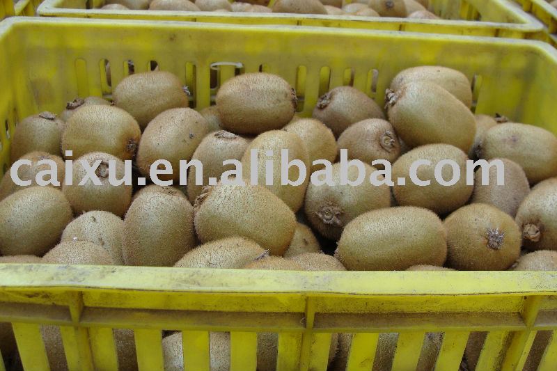 kiwifruit