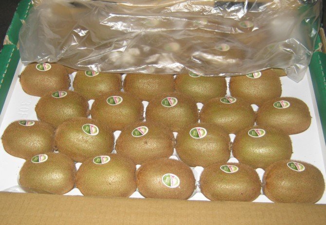 Fresh Kiwi Fruit