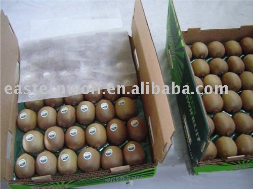 Fresh Kiwi Fruit in Carton Package, New Crop, MOQ:1*40'FCL