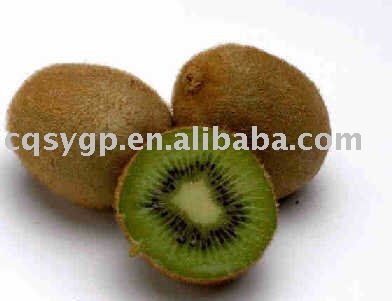 fresh kiwi fruit