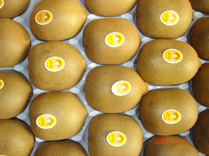 huayou kiwi