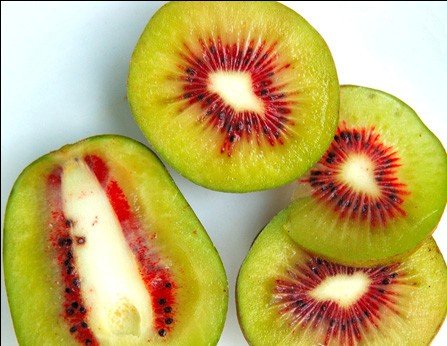 red kiwi fruit,China price supplier - 21food