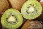 Kiwi fruits yellow
