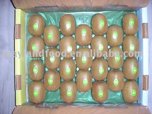 Fresh kiwi fruit