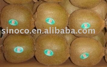 fresh Kiwi