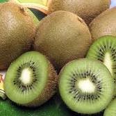  Fresh   Kiwifruit  for Sale
