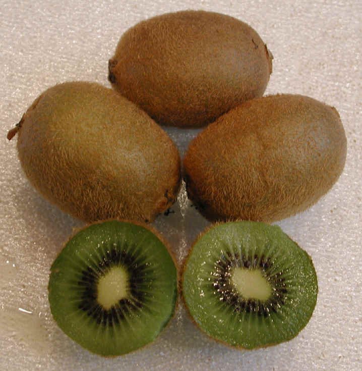 kiwi fruit export suppliers,exporters on 21food.com