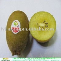 fresh golden  kiwi fruit