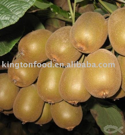 Fresh Kiwi
