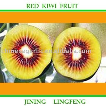 Kiwi Fruit