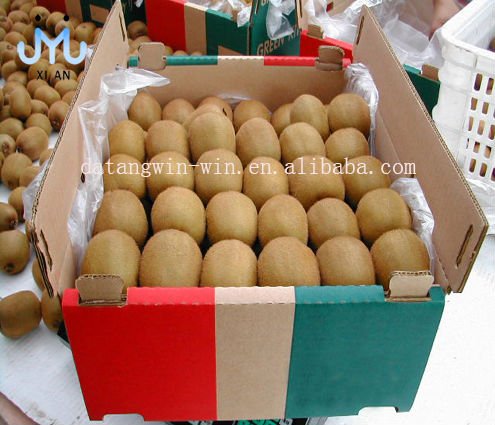  golden   kiwi   fruit 