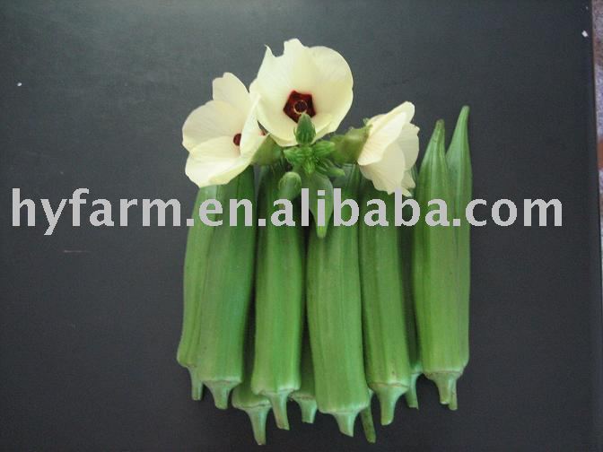 fresh okra