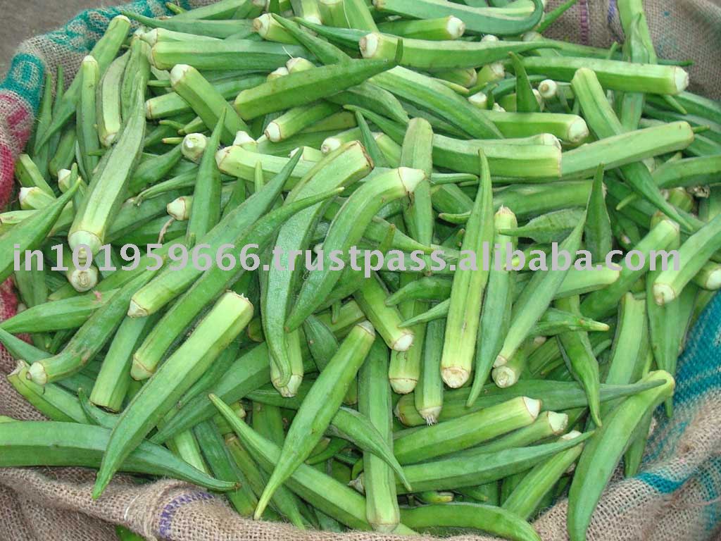 Okra