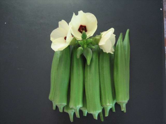 Fresh Okra,whole okra