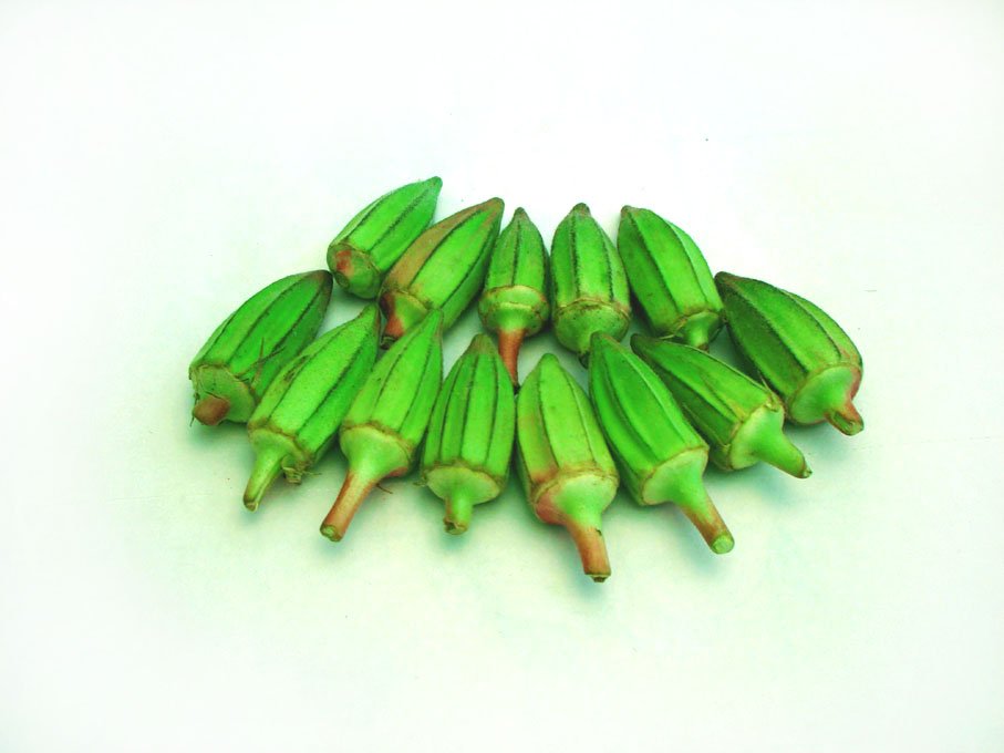 Egyptian Okra