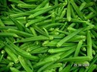 Fresh Okra For Sale