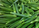 FRESH OKRA