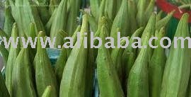 Fresh Okra