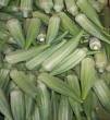 fresh okra of all gradesand also dry