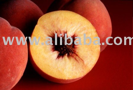 top quality nectarine peaches