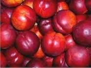 Fresh Nectarine