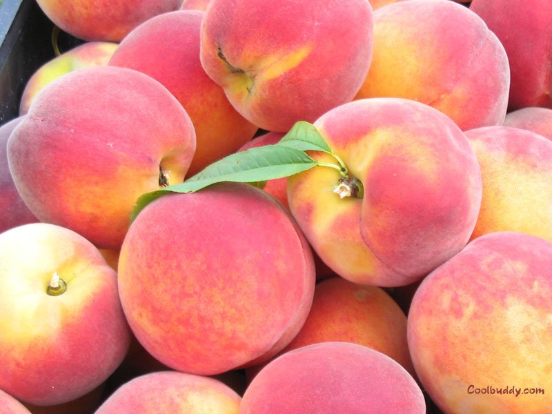 Peach