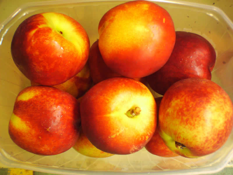 Nectarines,Spain price supplier - 21food