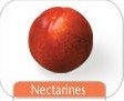 nectarines