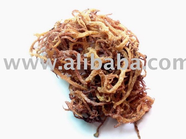 Eucheuma Cottonii  Raw   Seaweed 