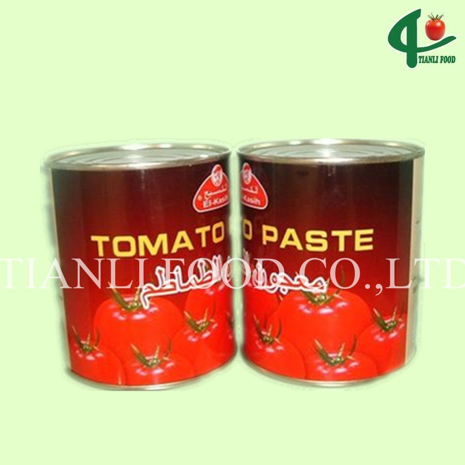 2010crop 3000g canned tomato paste product