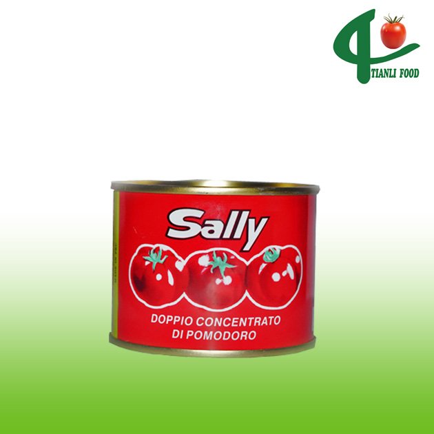 2010 crop tinned tomato paste plant