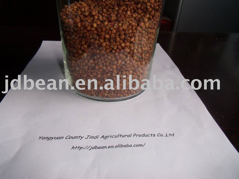 ALIBABA USED EXCLUSIVELY Red Sorghum (GF1)