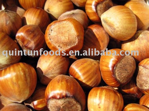 organic hazelnut