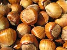  Hazelnuts  Available , Best  Price 