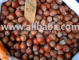top Quality Hazel nuts for sale