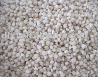  white   sorghum   grain s