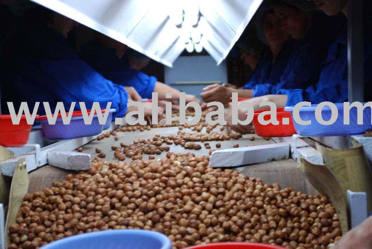 hazelnut kernel