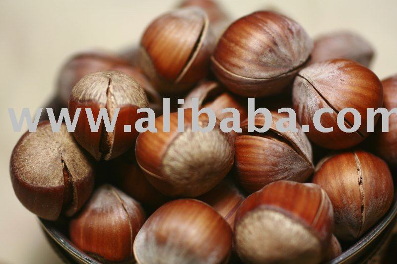Cracked Hazelnut (Filbert)