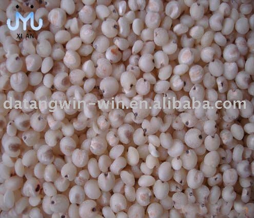 dried sorghum seed