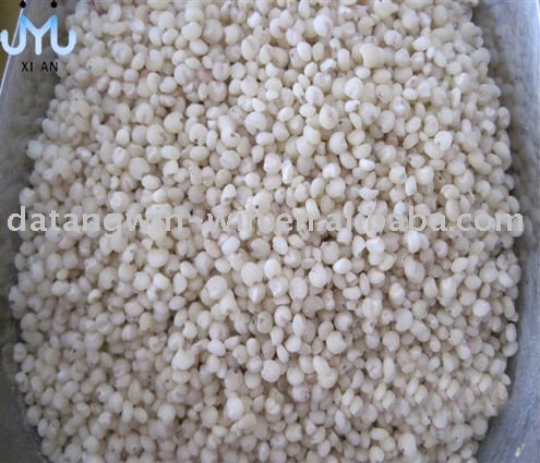local sorghum seed